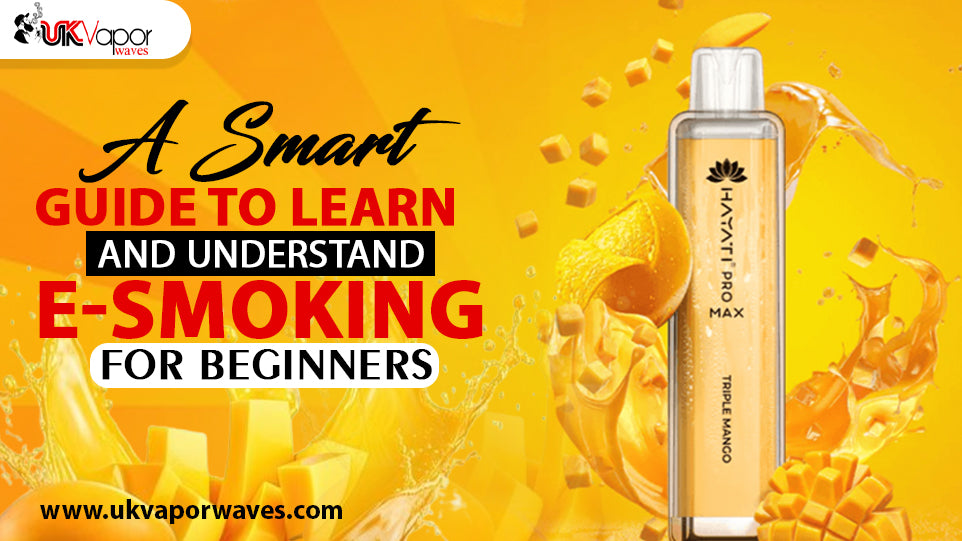 A Smart Guide To Learn And Understand E-smoking For Beginners