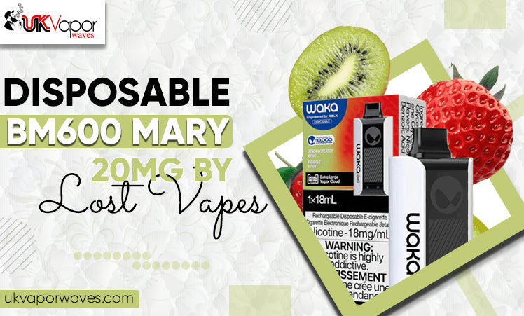 Disposable BM600 Mary 20mg by Lost Vapes