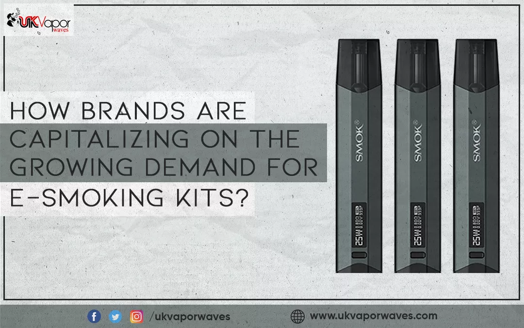 How Brands Are Capitalizing On The Growing Demand For E-smoking Kits?