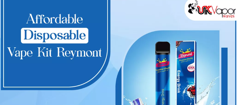 Affordable Disposable Vape Kit Reymont