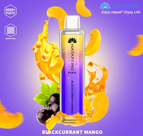 Hayati Pro Max Blackcurrant Mango 4000 Disposable 