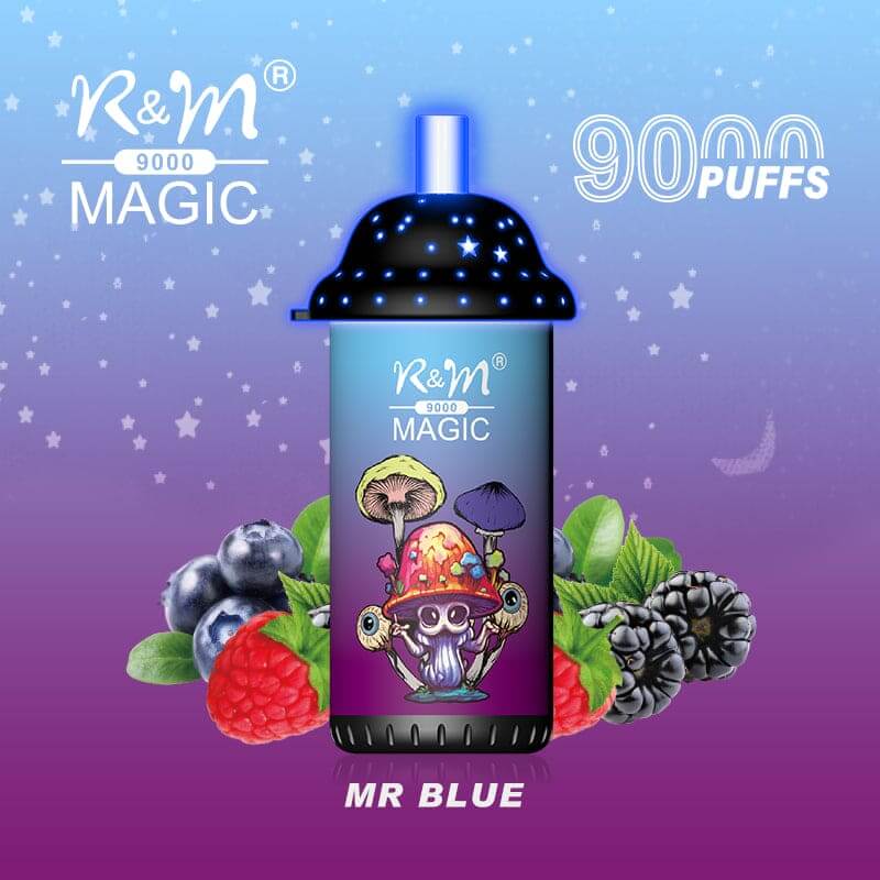 Mr Blue R&M Magic 9000 Puffs Disposable Vape Box of 10