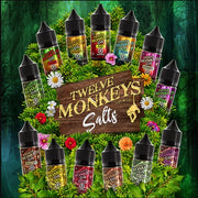 12 Monkeys Nic Salt Twelve Monkey